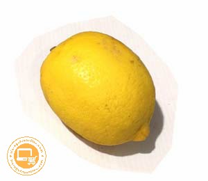 LEMON  IMPORT 