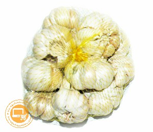 BAWANG PUTIH IMPORT 500 G