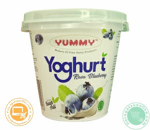 YUMMY YOGHURT BLUEBERRY 100 GR